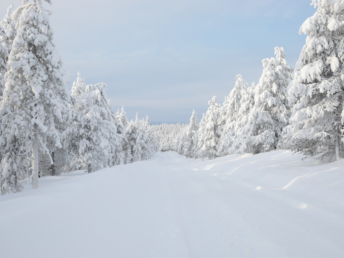 Ylläs